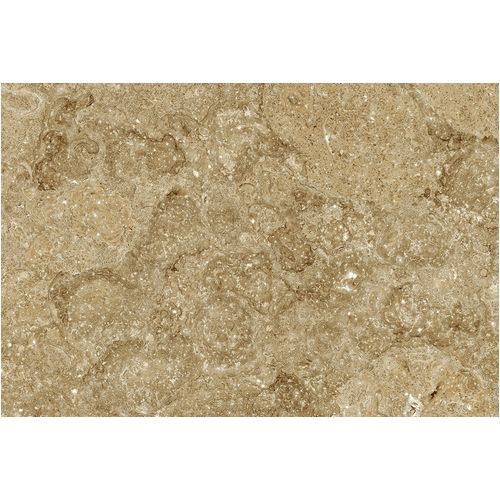 scintila dark a