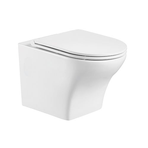 fint wall hung wc